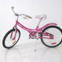 BIC06