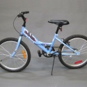 BIC11