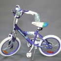 BIC12