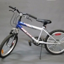 BIC13
