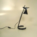 LAMM11