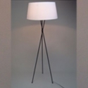 LAMP13